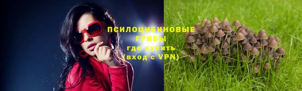 кокаин премиум Алзамай