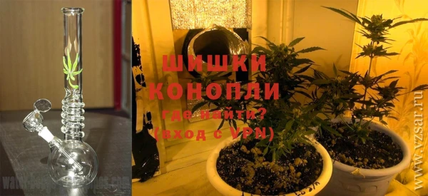 шишки Осташков