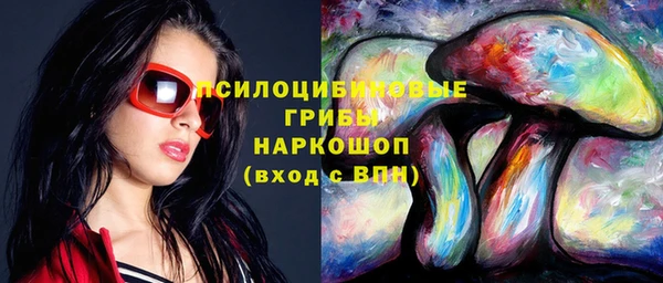 шишки Осташков