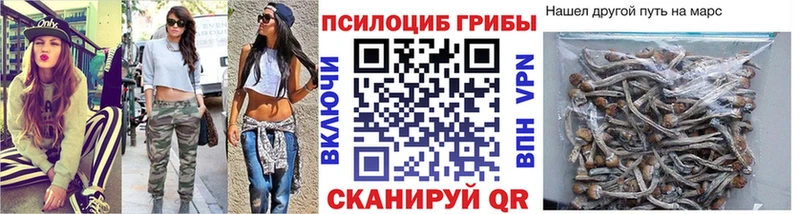 Галлюциногенные грибы Psilocybine cubensis даркнет сайт Томмот